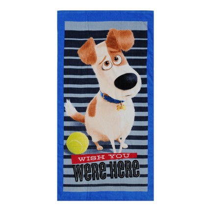 Πετσέτα Παιδική Μπάτε...