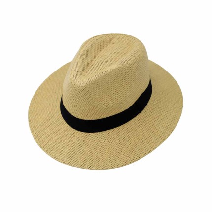 Straw Hat with Ribbon 2