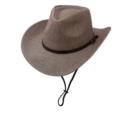 Straw Hat Cowboy 2
