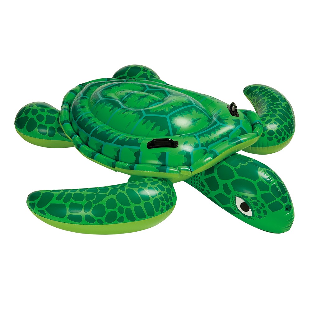 Pool Float Turtle