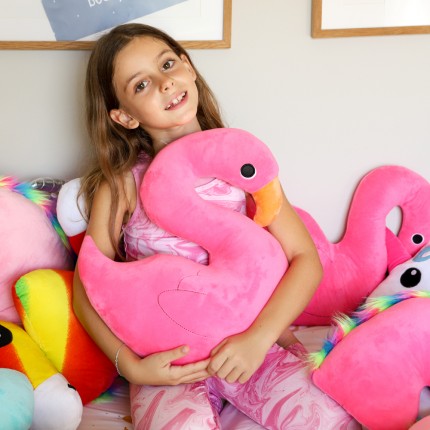 Μαξιλάρι Φλαμίνγκο 2